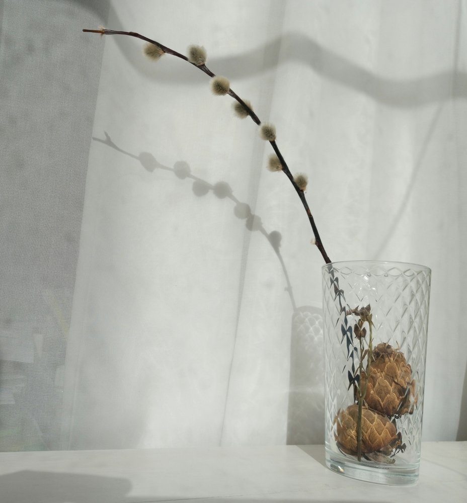 Photograph by Борис Каширин