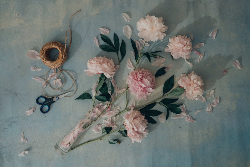 Photograph by Татьяна Пронина