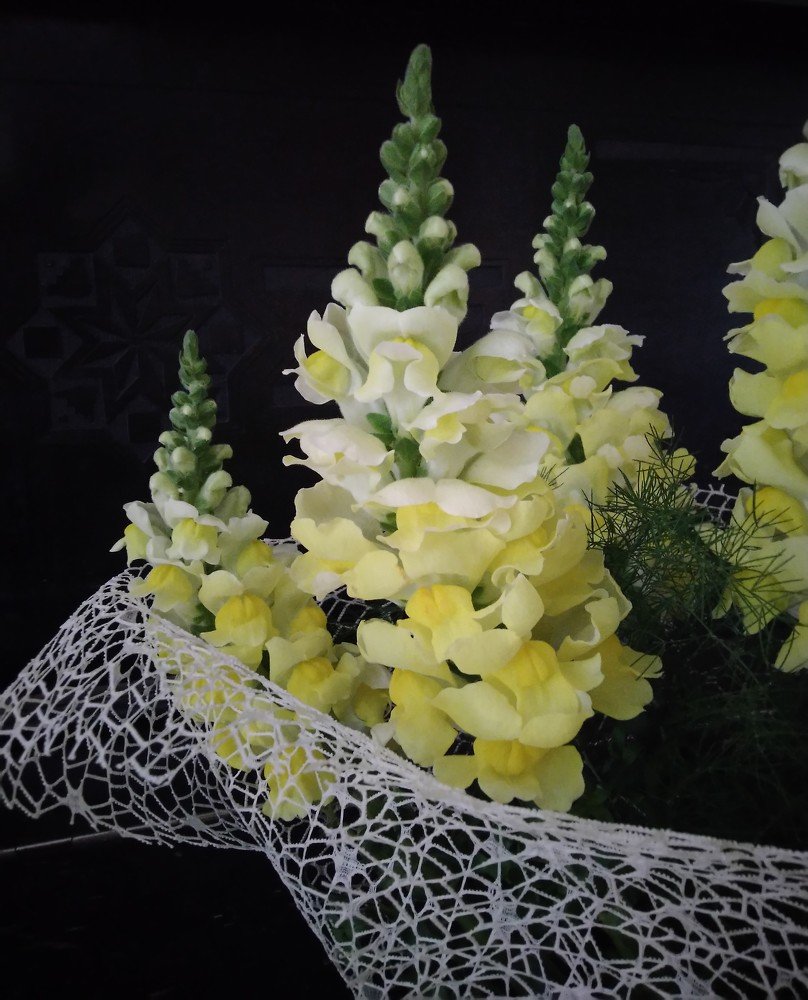 Photograph by Анна Матецкая