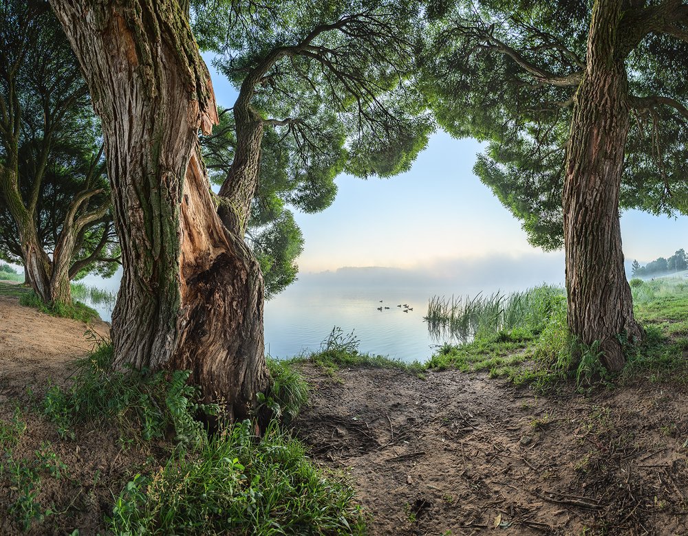 Photograph by Николай Андреев