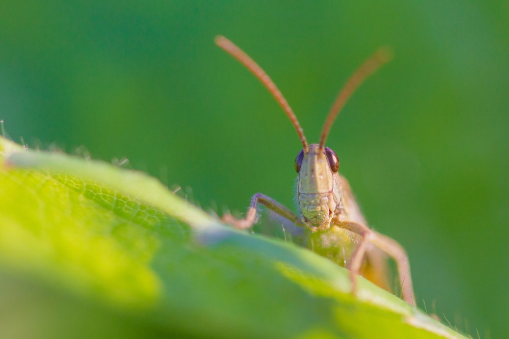 "Я вижу тебя"