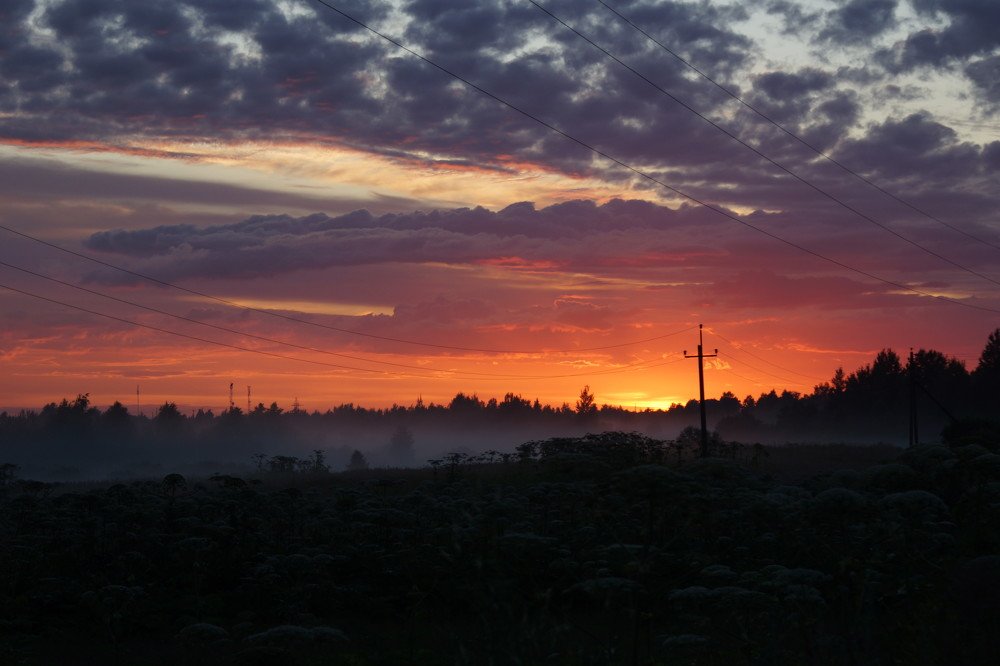 Photograph by Артём Зотин