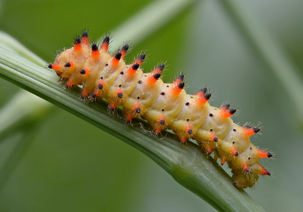 Photograph by Михаил Колтухов