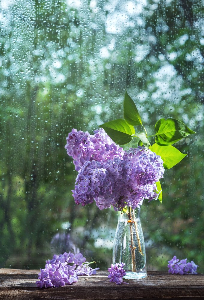 Photograph by Курамшина Татьяна