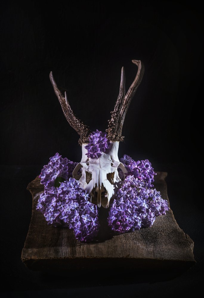 Photograph by Курамшина Татьяна