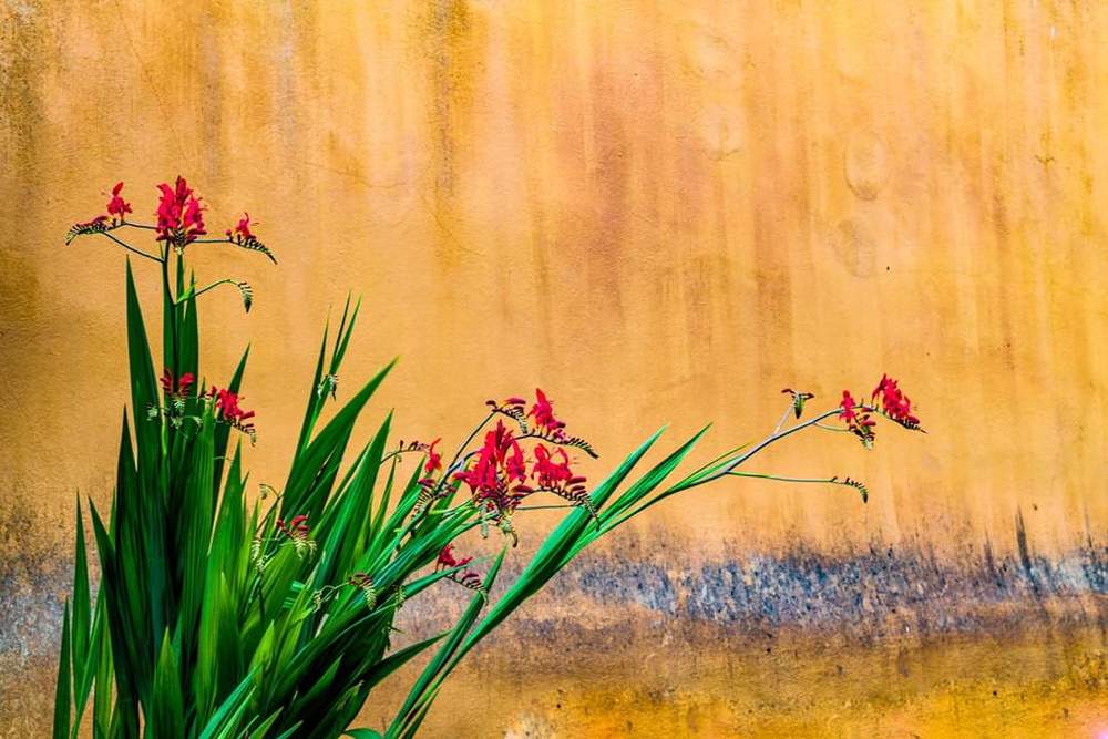 Photograph by Piyush