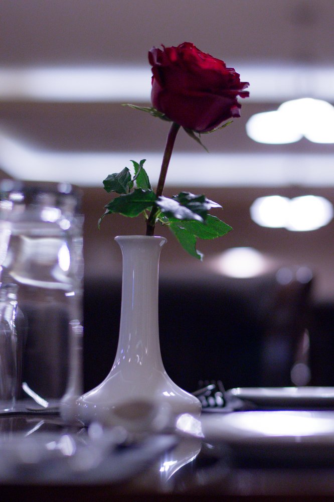 Photograph by Antony Trivet