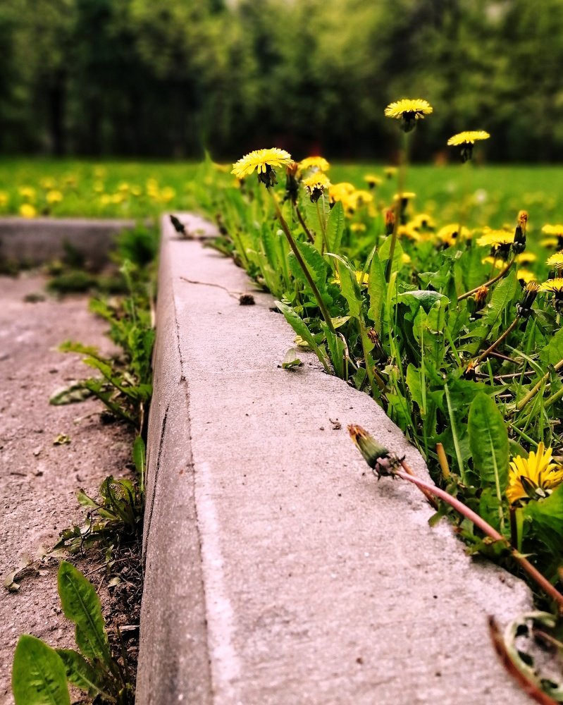 Photograph by Марина Копаева