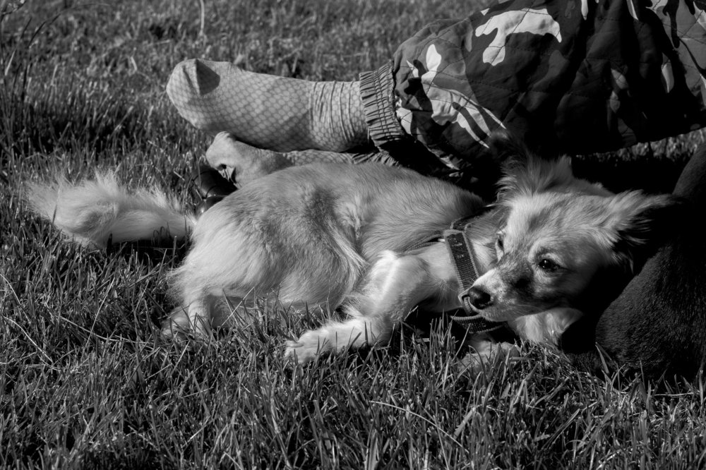 Photograph by Rusudan Khubutiya