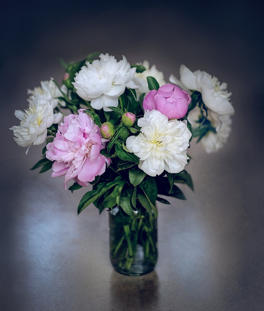 Фотография автора Tatiana Reef