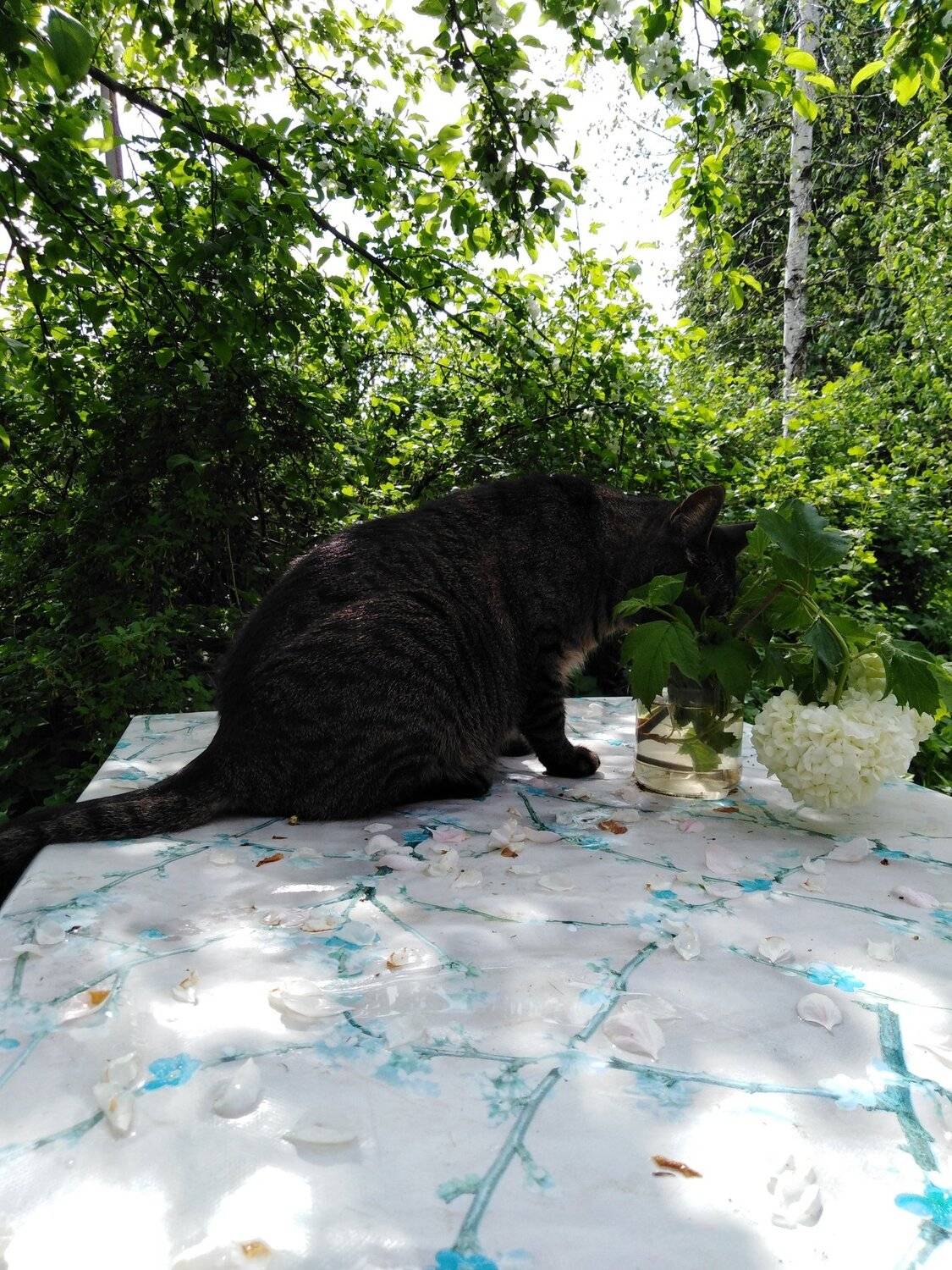 Photo #4757600