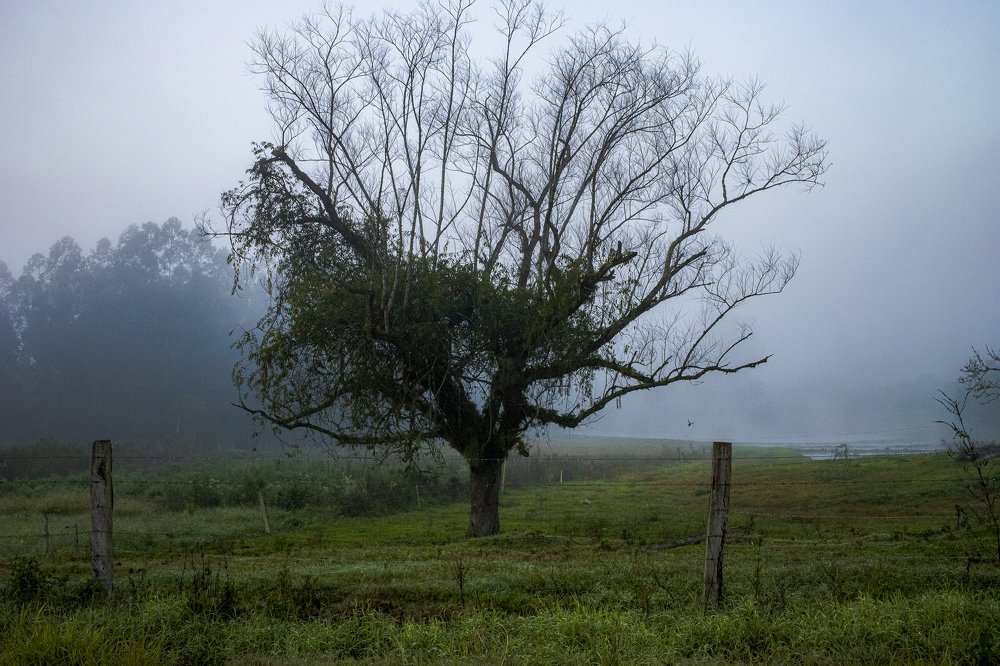 Photograph by Joice Kreiss