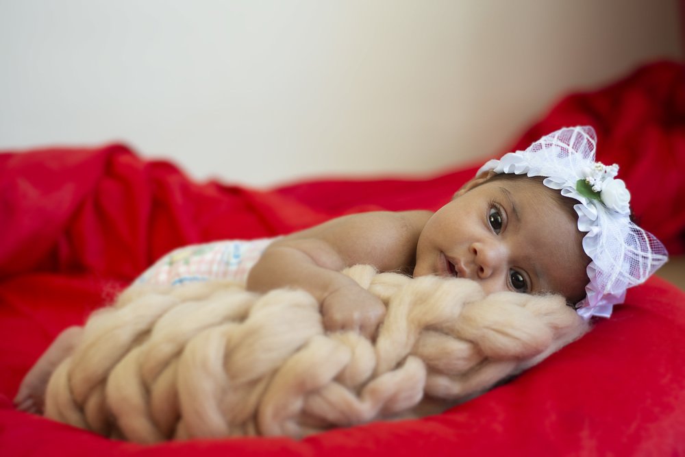 Photograph by Reza Mohammadi