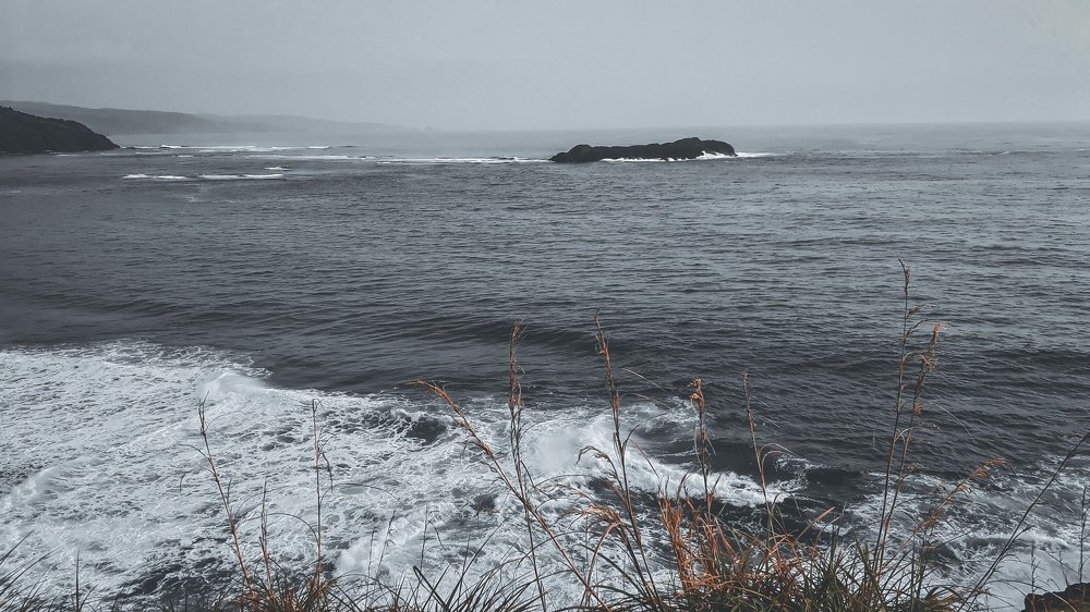 Photo #4757666