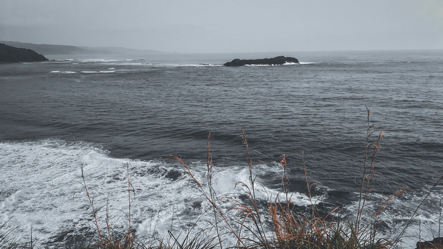 Photo #4757666