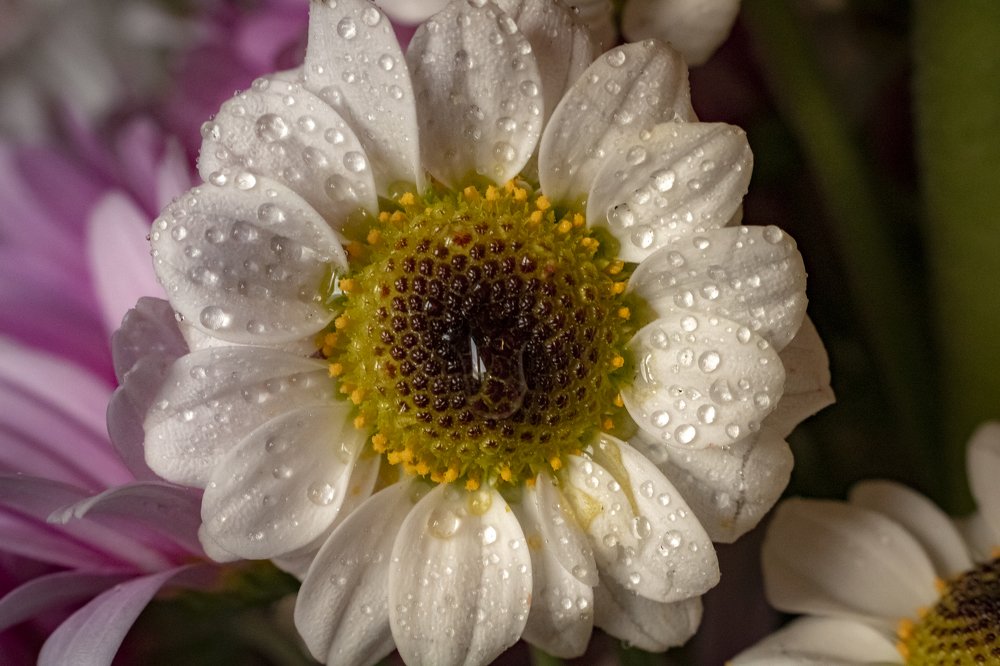 Photograph by Joice Kreiss