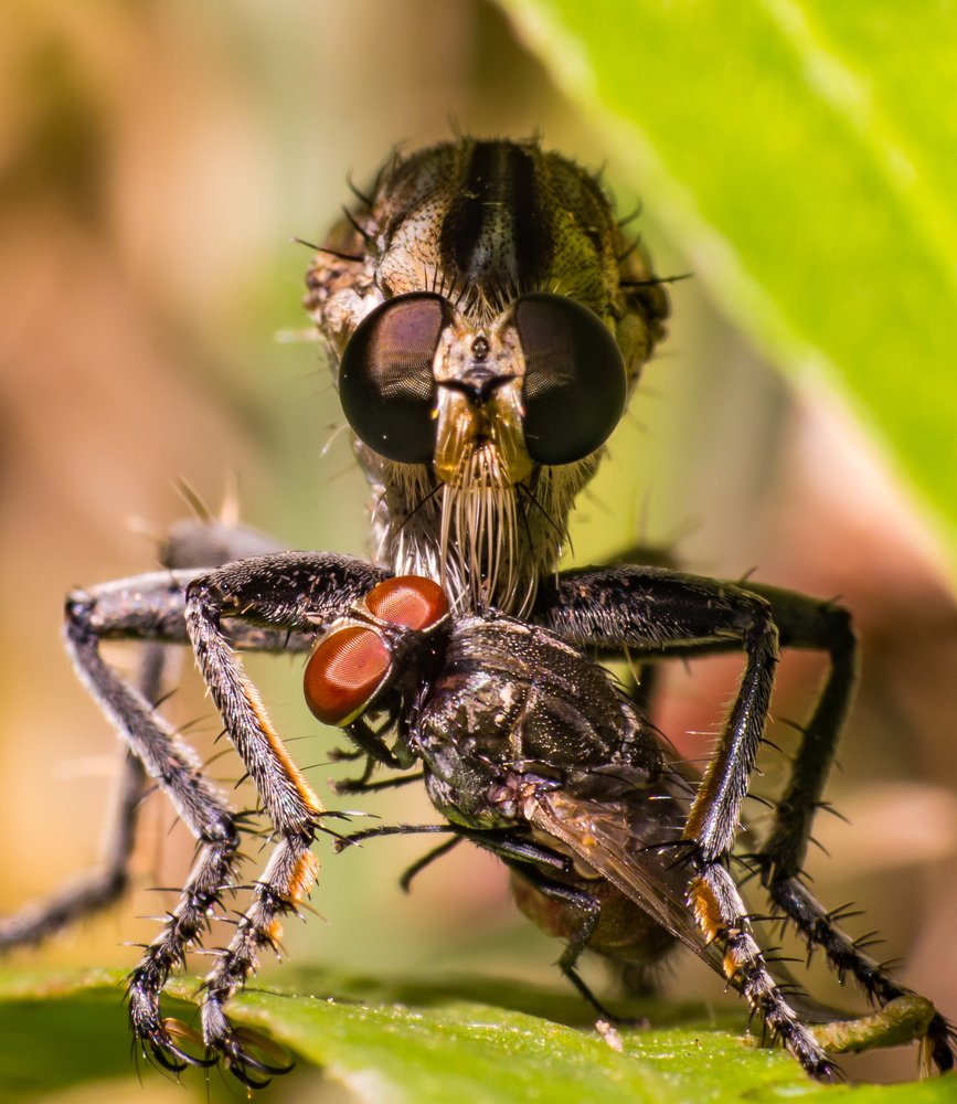 Photograph by Abhishek Manna