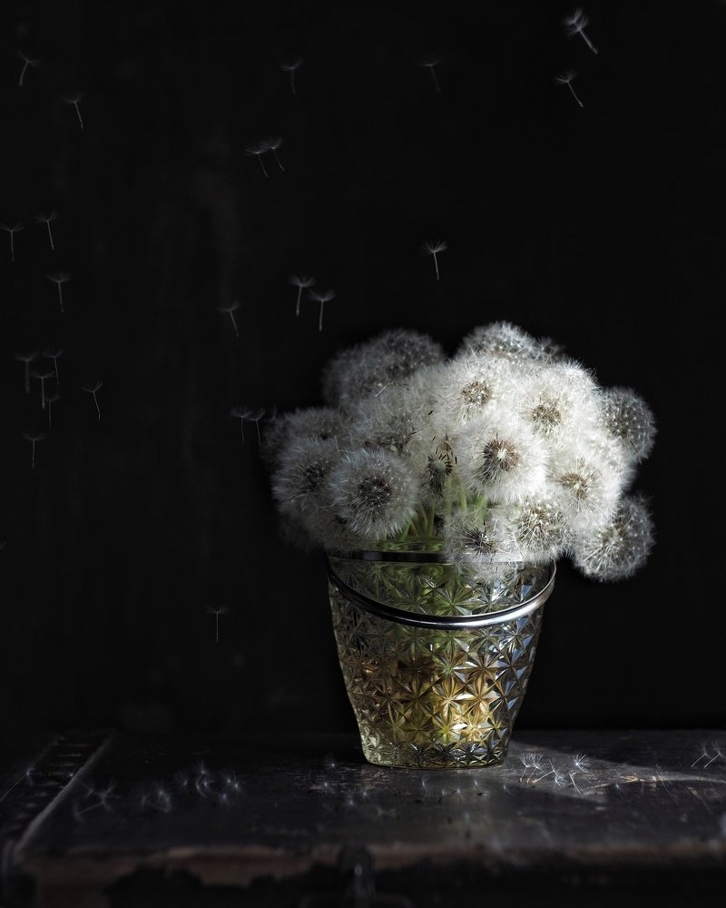 Photograph by Александр Гусаров