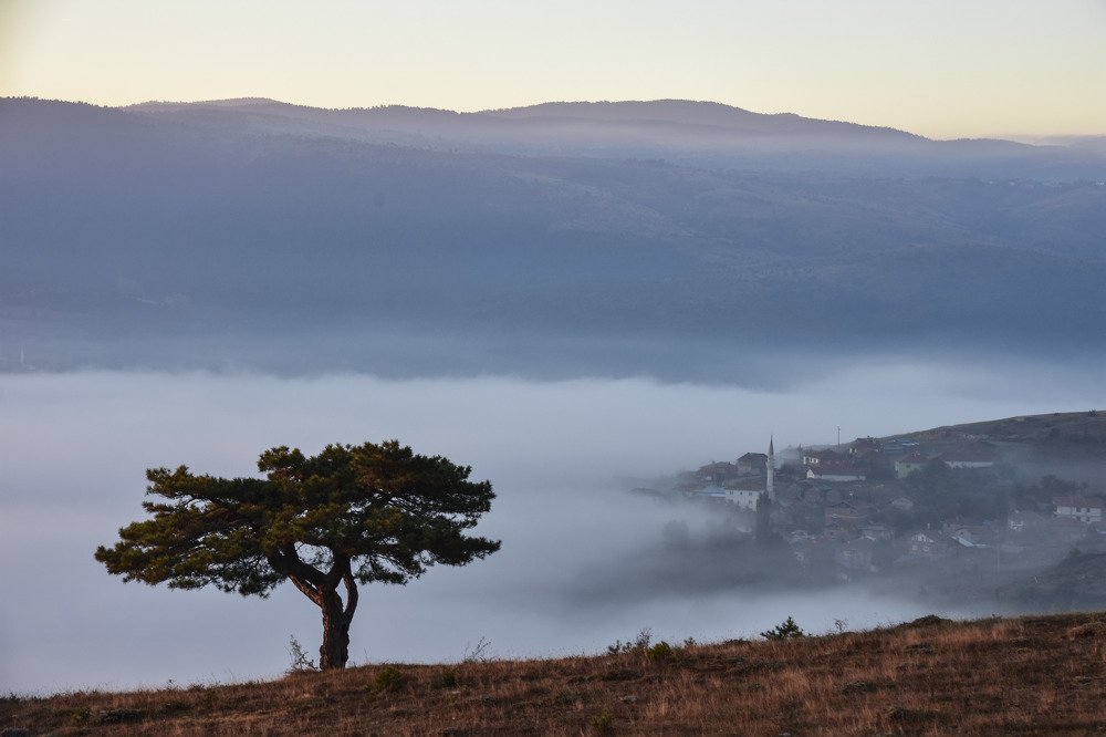 Photograph by Cem Yakal