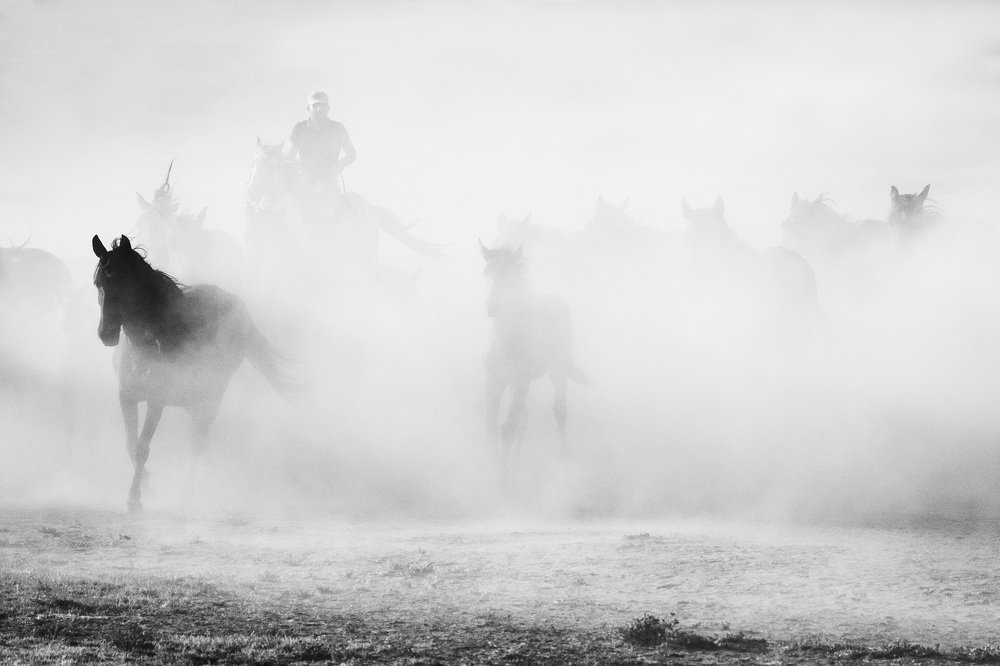 Photograph by Cem Yakal