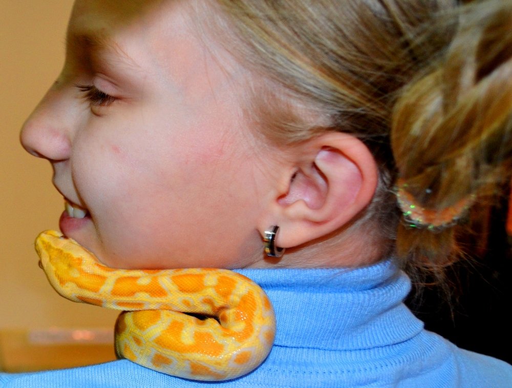 а поцеловать...