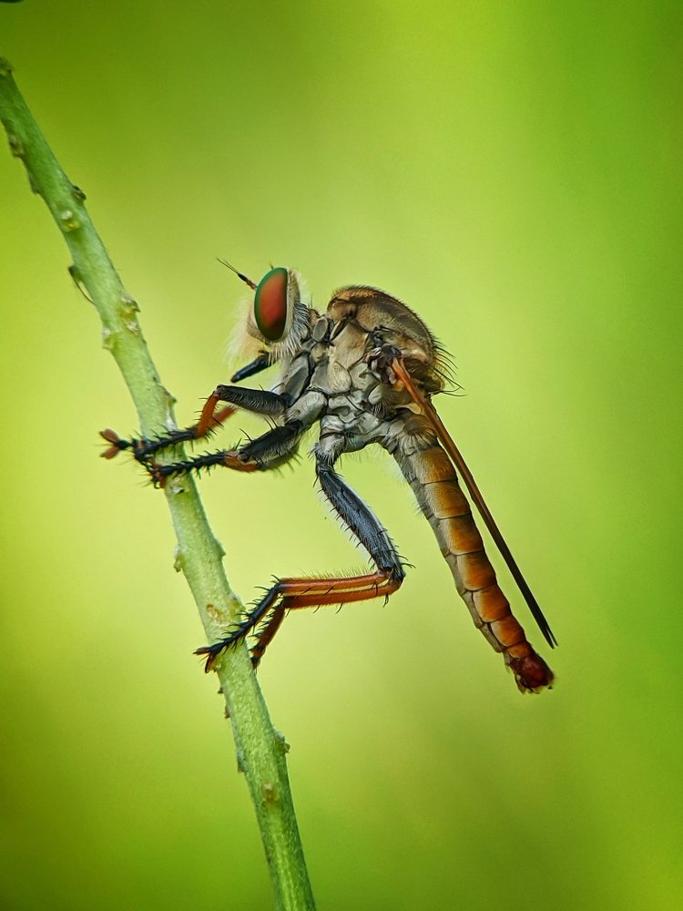 Photograph by Anjazz doz santoz