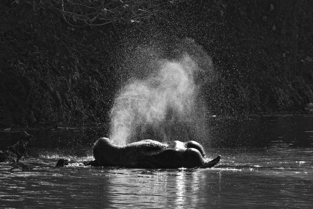 Photograph by Tanvir Ahmed