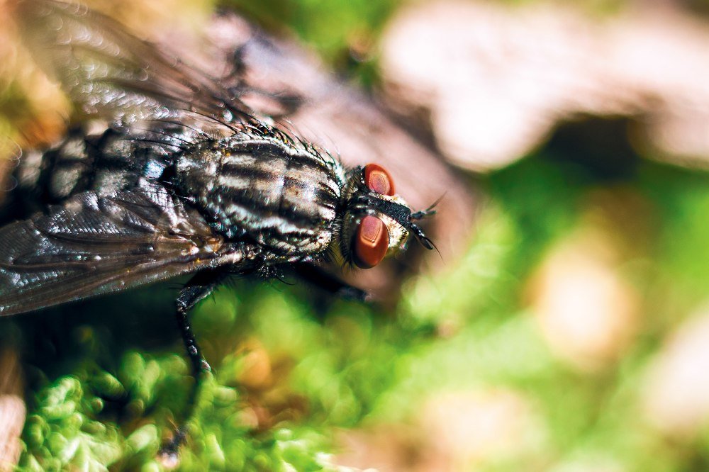 Photograph by Алексей Харламов