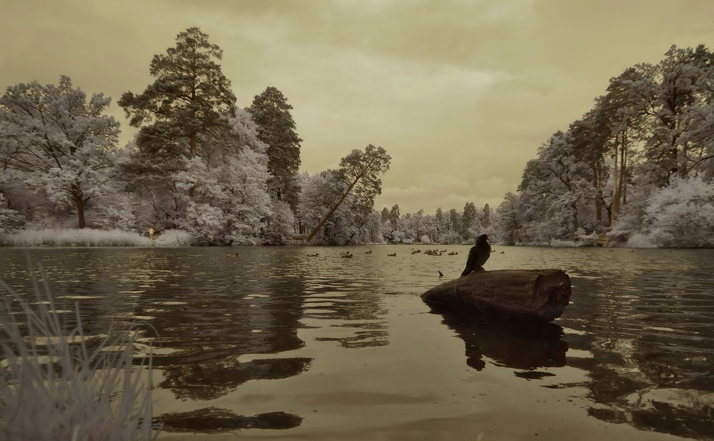 Photograph by ИгорьВл