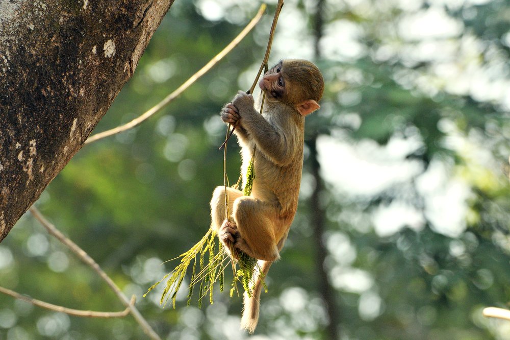 Photograph by Tanvir Ahmed