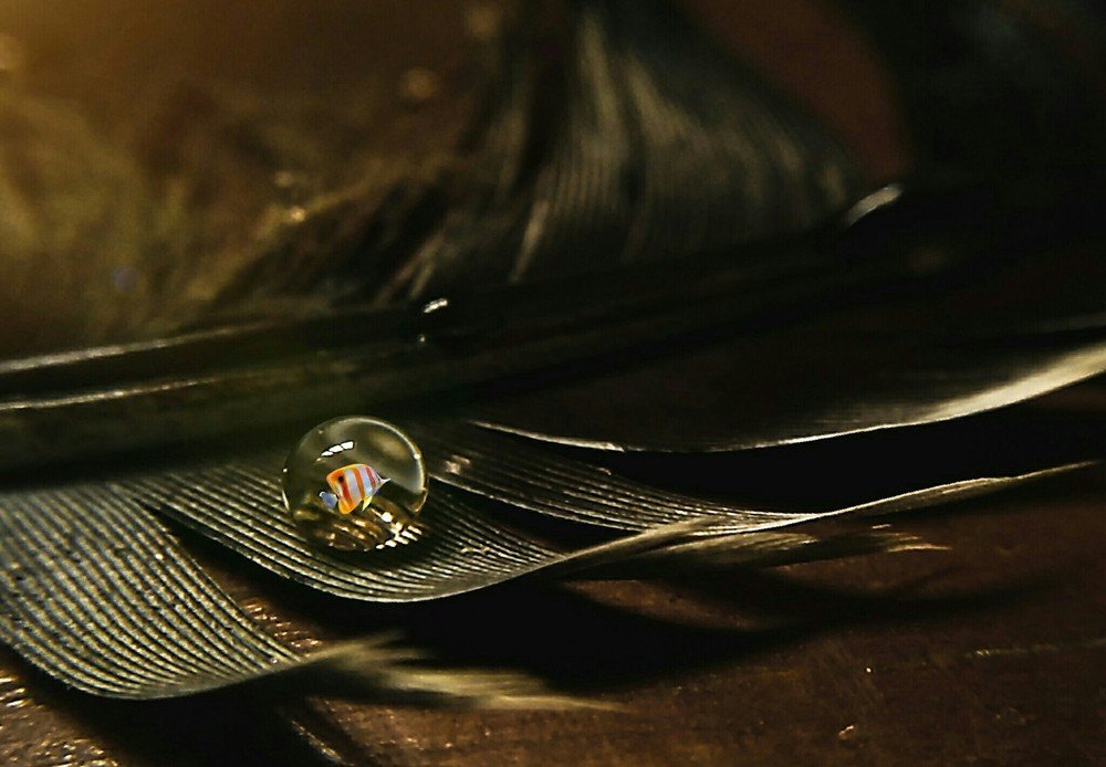 Photograph by Oluwagbemiga Ogundeji