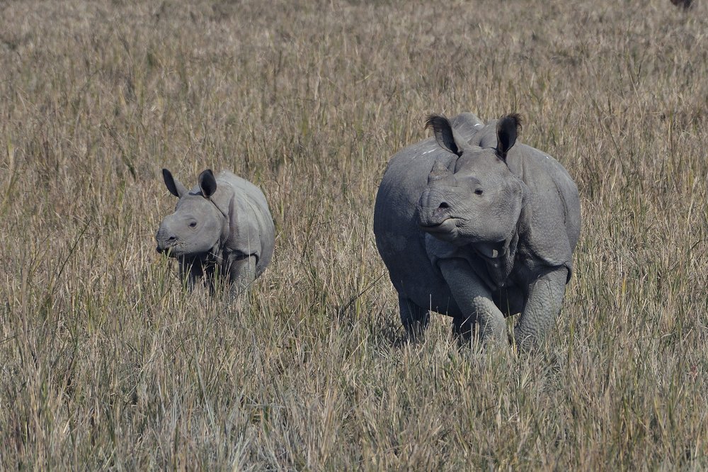 Photograph by Tanvir Ahmed