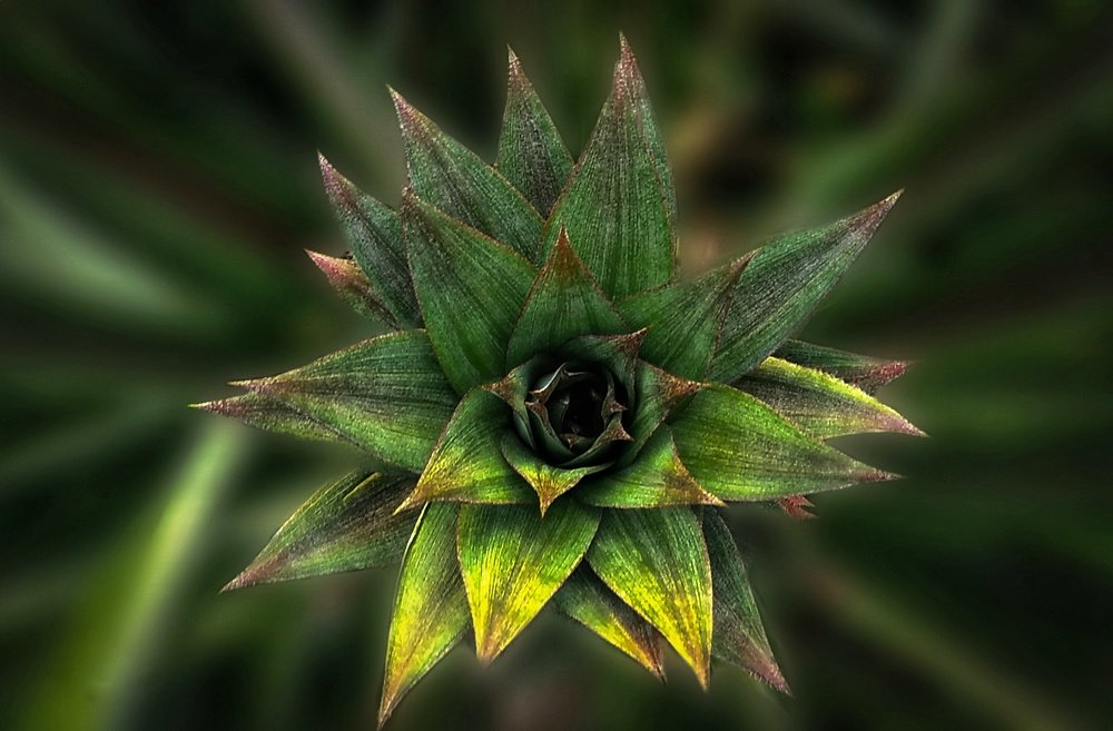 Photograph by Oluwagbemiga Ogundeji