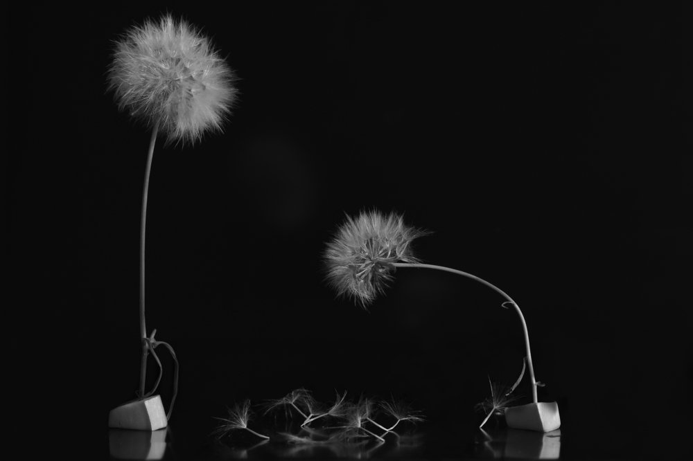 Photograph by Narek Petrosyan