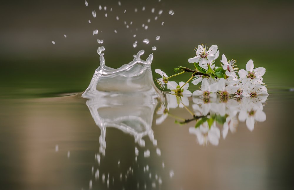 Photograph by Narek Petrosyan