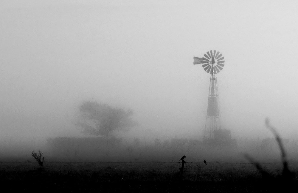 Photograph by Viviana García