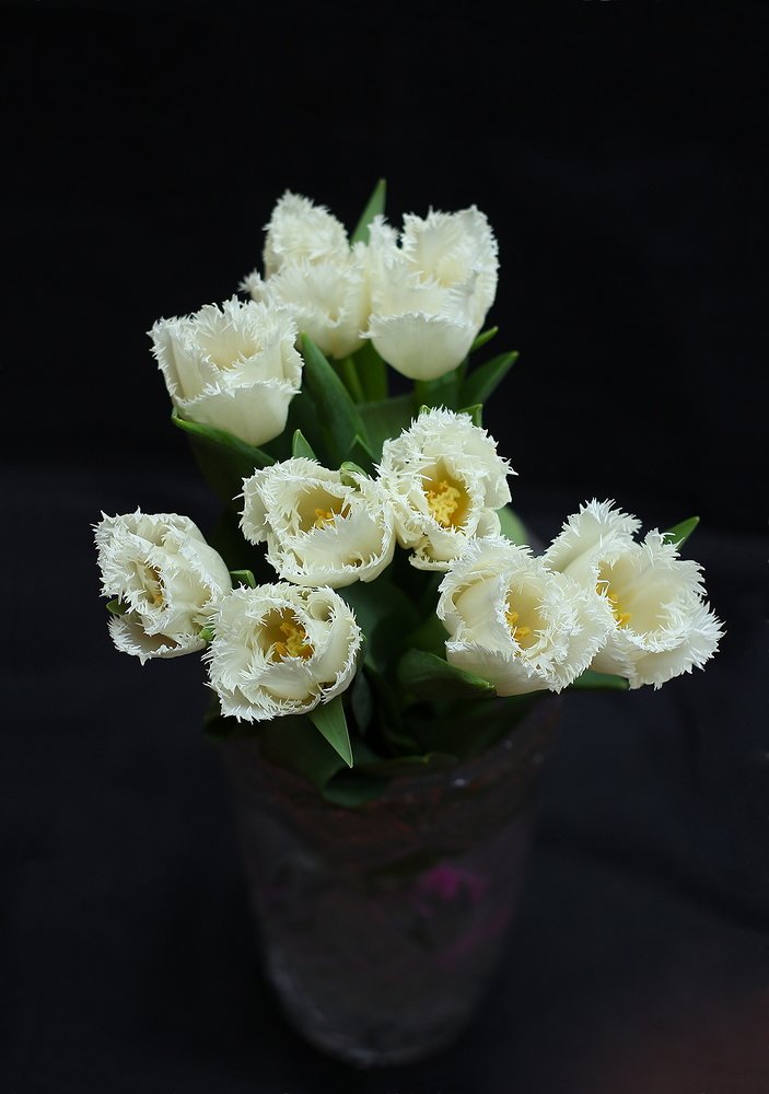 Фотография автора Геннадий Титов