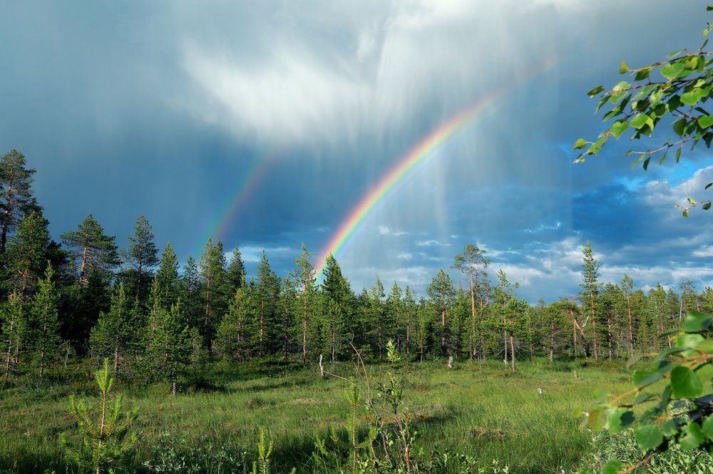 Photograph by Марина Александрова