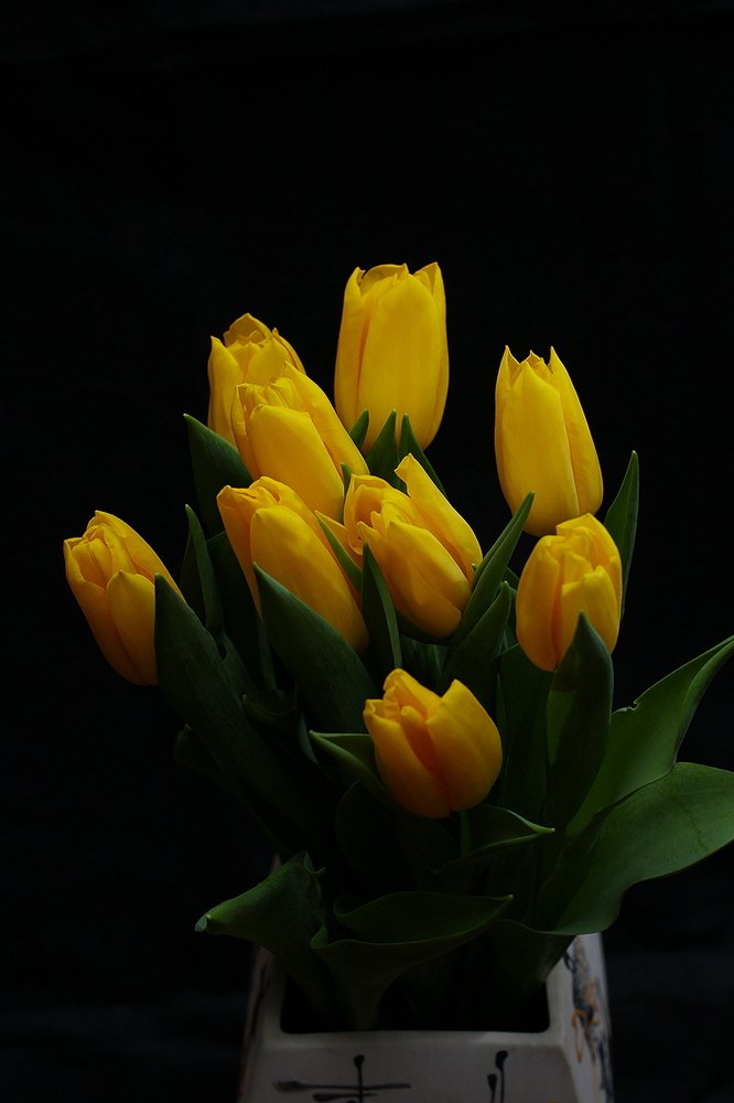 Фотография автора Геннадий Титов