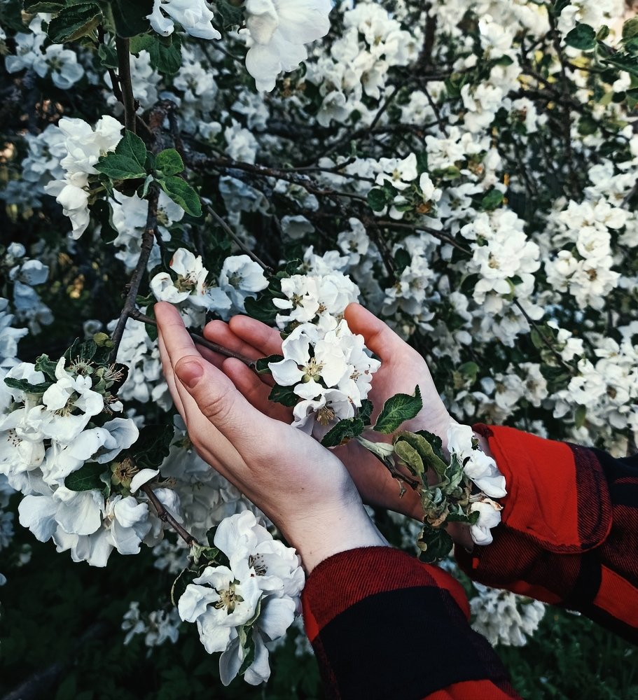 Photograph by Мария Захаркова