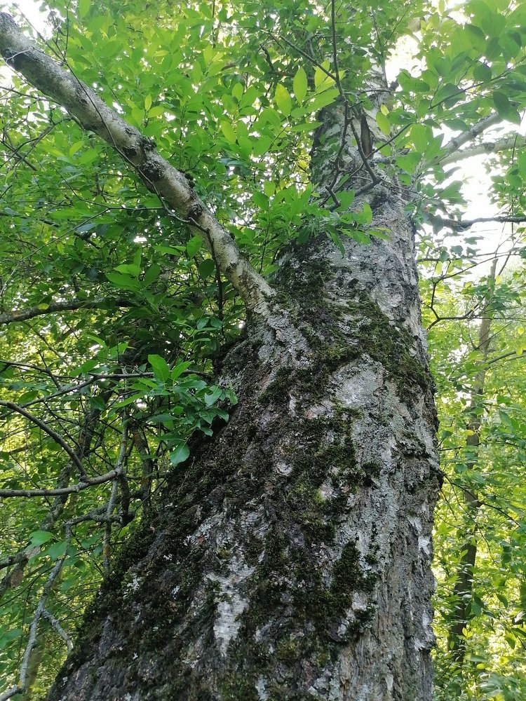 Photograph by Екатерина Лушникова