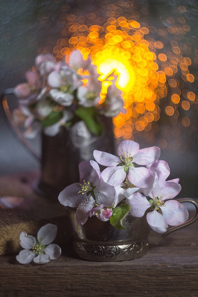 Photograph by Алла Семенова