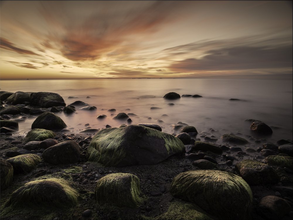 Photograph by Sylwia Ratajczyk