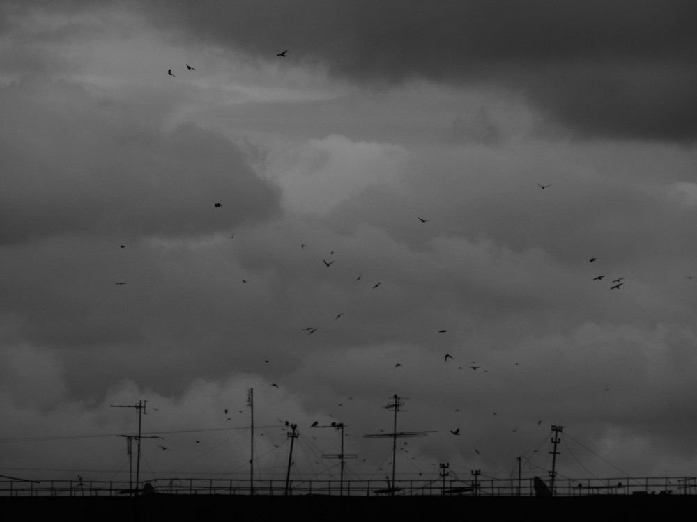 Photograph by Глеб Маевский