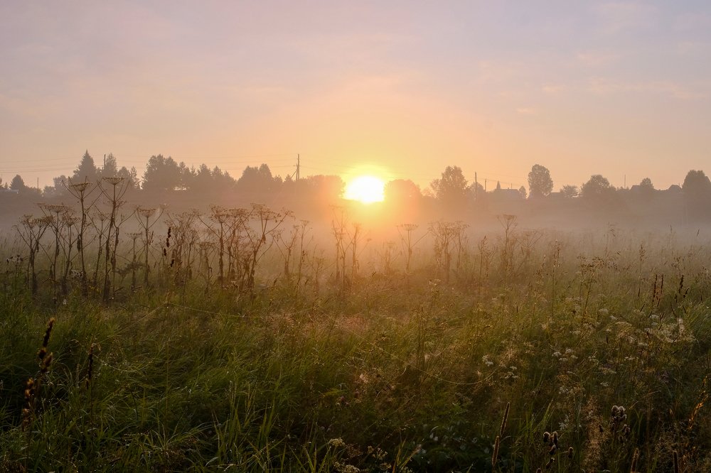 Photograph by Олеся Неволина-Лопатина