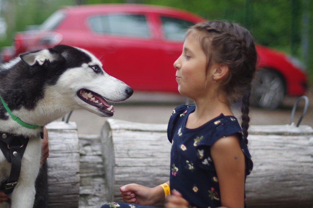 Photograph by Оксана Макарова