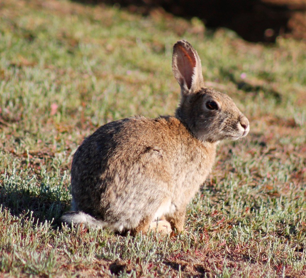 Photograph by Virginie BAYARD