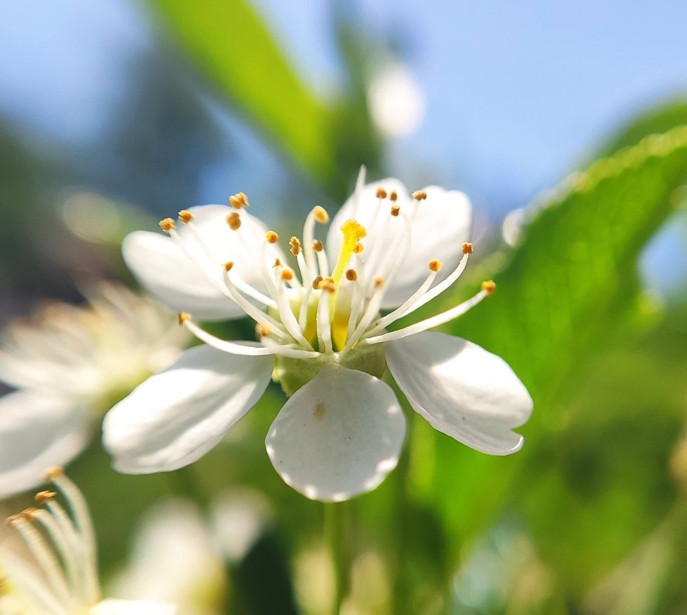Фотография автора Станислав Ермолин