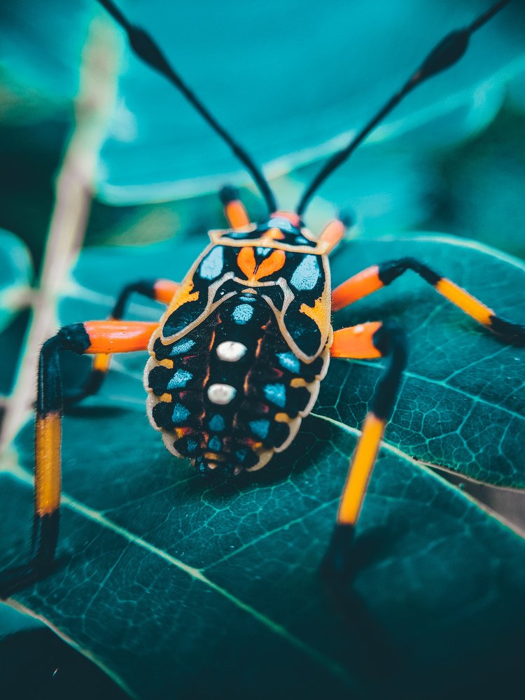 Photograph by Adriele Martinez