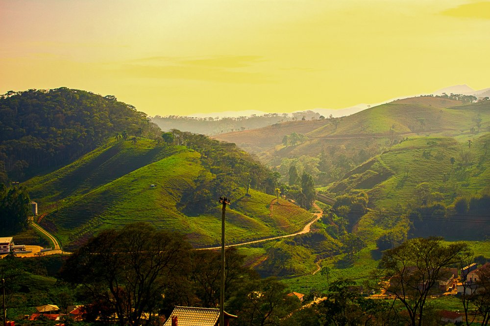 Photograph by Wislei rabello